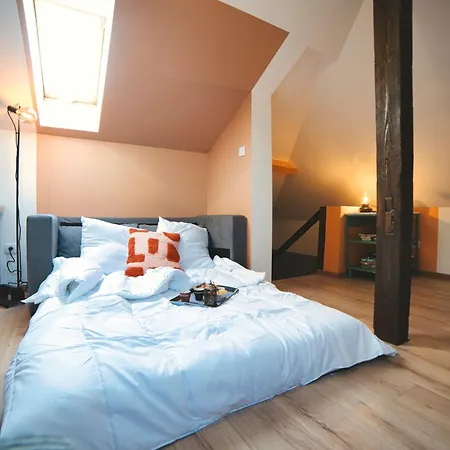Toys - Cosy - Centre - * Mulhouse